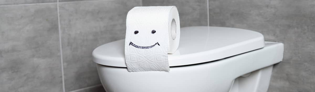 Clogged toilet repair image of toilet paper roll sitting on toilet lid
