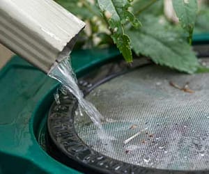 Shows rain water going into rain barrel